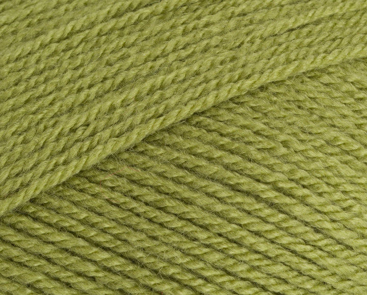 Stylecraft Special DK Yarn 100g