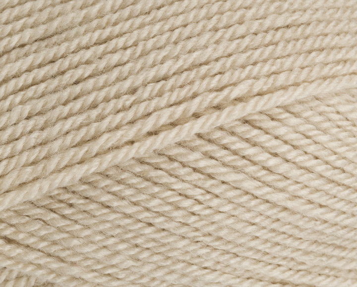 Stylecraft Special DK Yarn 100g