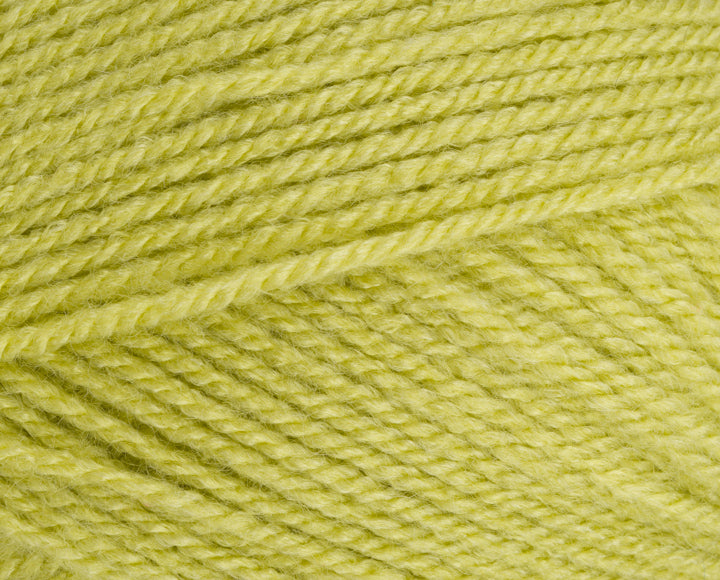 Stylecraft Special DK Yarn 100g